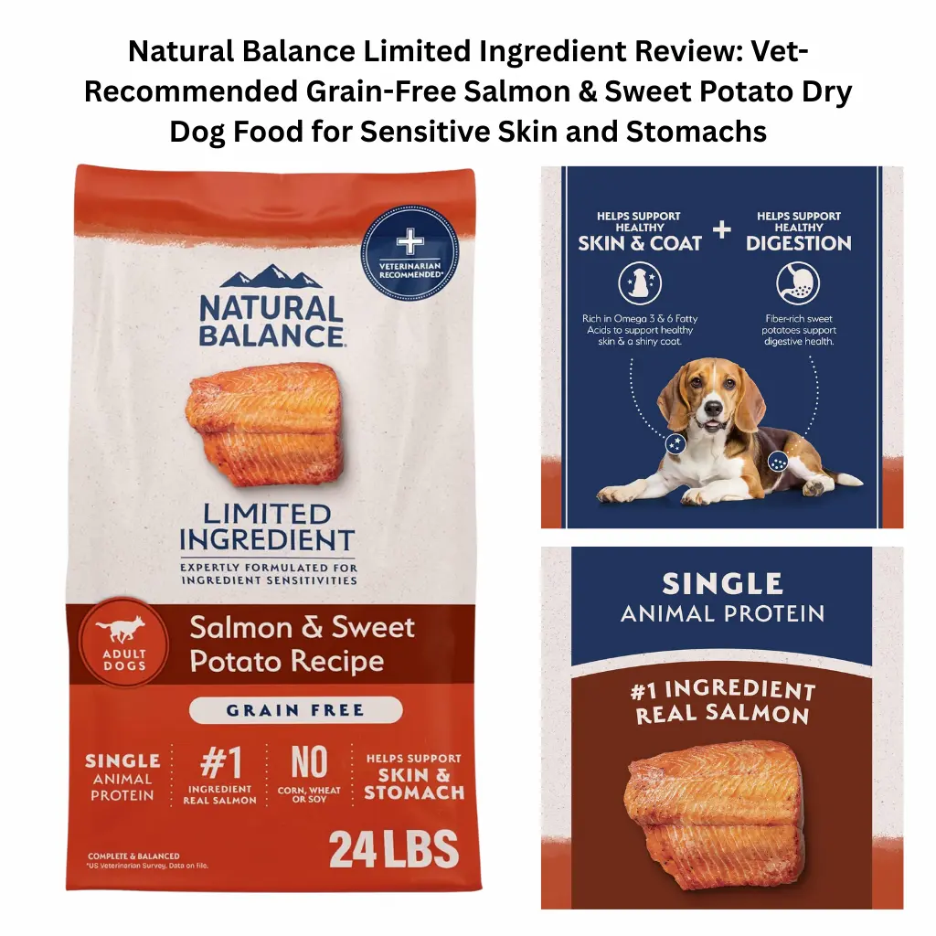 A 24lb bag of Natural Balance Limited Ingredient Grain-Free Dry Dog Food in Salmon & Sweet Potato recipe, featuring a single-protein formula with no corn, wheat, or soy to support sensitive skin and digestive health.