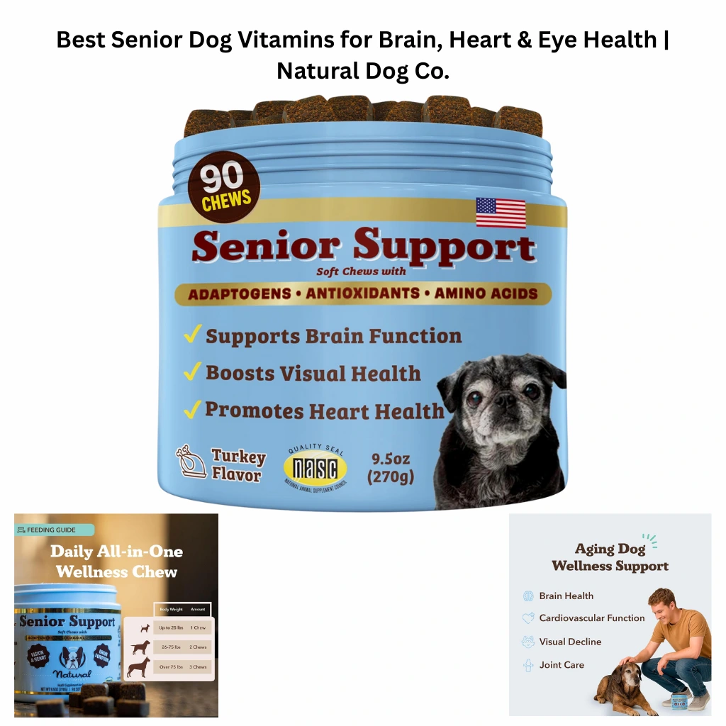 A 90-count jar of Natural Dog Company Senior Support Soft Chews, featuring a teal and gold label, formulated with adaptogens and antioxidants to support visual and heart health in aging dogs.