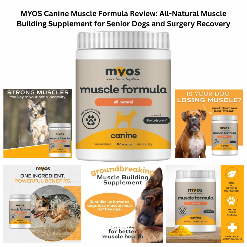 A 12.7oz jar of MYOS Canine Muscle Formula, an all-natural powder supplement powered by Fortetropin to build muscle, reduce atrophy in senior dogs, and aid in surgery recovery, featuring 120 scoops for daily nutritional support.