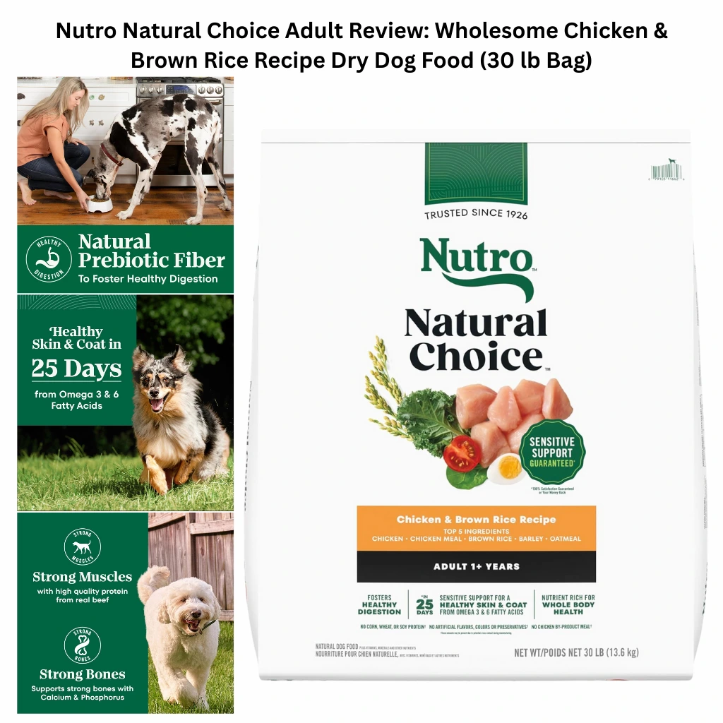 A 30 lb bag of Nutro Natural Choice Adult dry dog food, Chicken & Brown Rice Recipe, highlighting real chicken as the top ingredient, prebiotic fiber for digestion, and Omega fatty acids for a healthy skin and coat in 25 days.