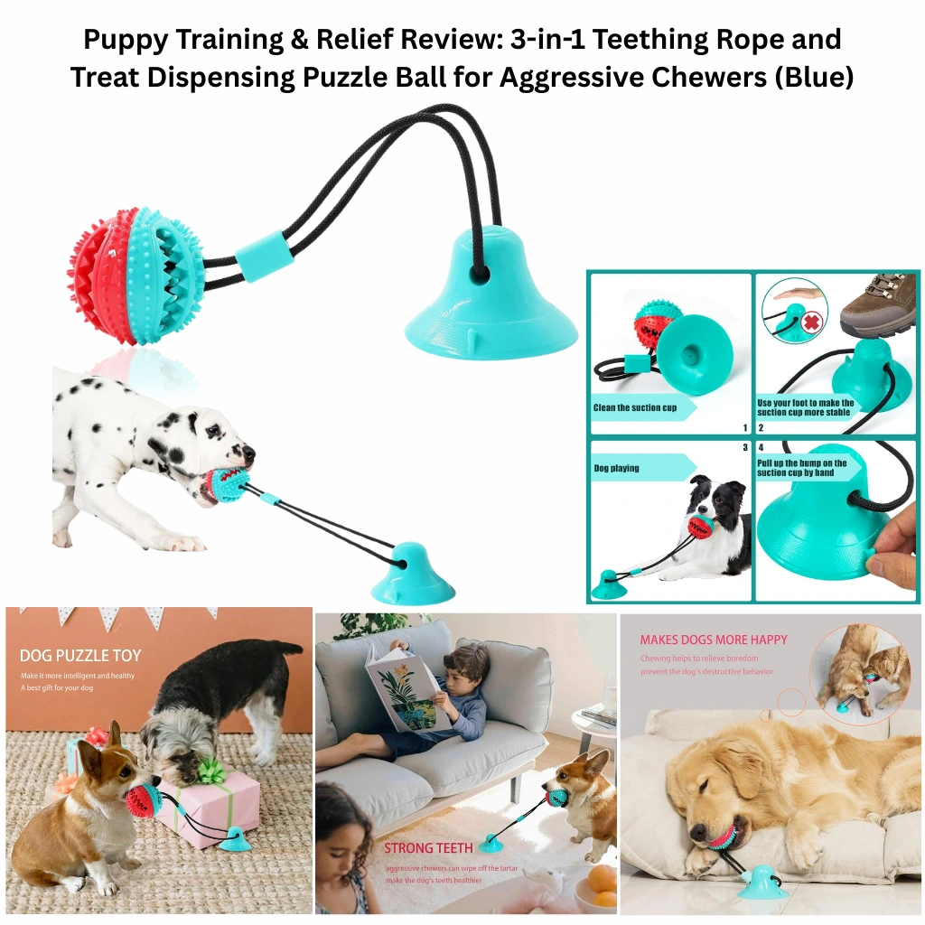 A blue and red puppy teething toy set featuring a suction-cup base, a heavy-duty tension rope, and a spiked treat-dispensing puzzle ball designed to clean teeth and provide mental stimulation for aggressive chewers.