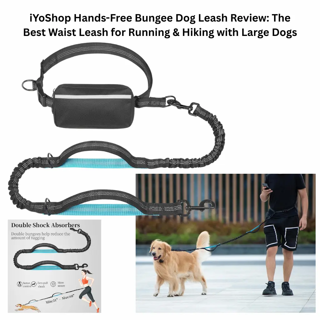 Black iYoShop hands-free dog leash featuring an adjustable waist belt with a removable zipper pouch, dual bungee shock absorbers, and padded handles being used by a runner with a Golden Retriever.