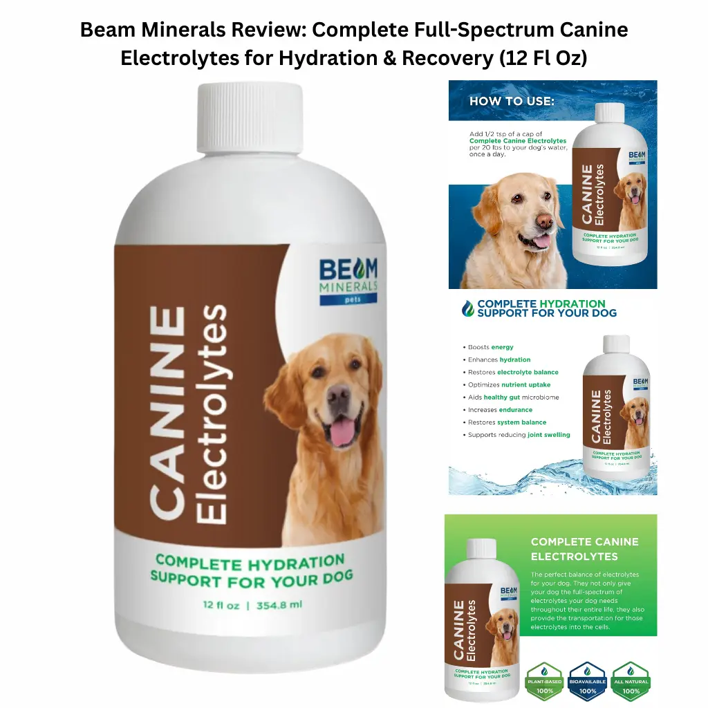 A product infographic for Bullibone peanut butter flavored nylon chew toys, featuring a sizing guide from small to extra-large, highlighting its "Super Tuff" construction, easy-hold paw pads, and benefits for dental hygiene and separation anxiety.