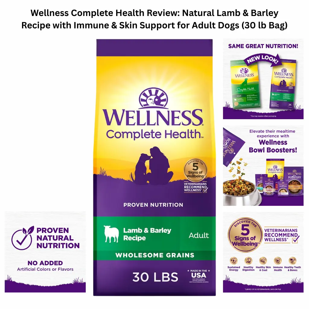 A product display for a 30 lb bag of Wellness Complete Health Adult dry dog food, featuring a Lamb and Barley recipe with wholesome grains, made in the USA with natural ingredients for immune, skin, and coat support.
