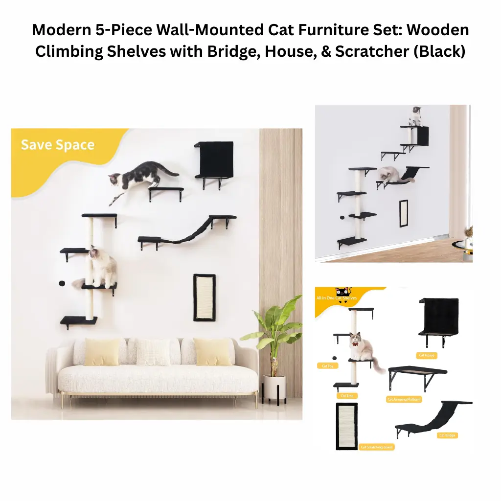 A product showcase of a black 5-piece wall-mounted cat furniture set installed in a living room, featuring a cat house, suspension bridge, climbing tree, steps, and a vertical scratching board.