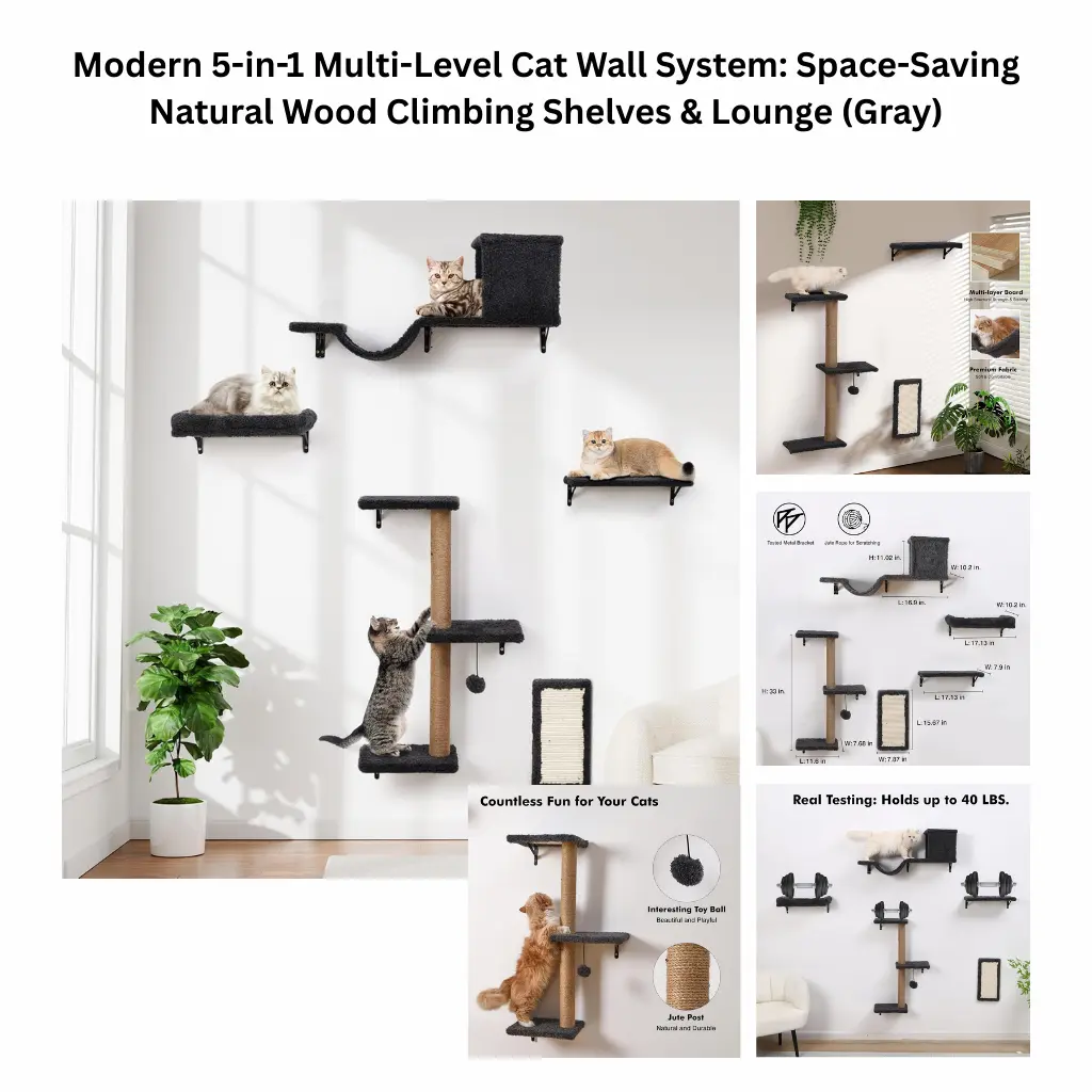A product infographic for a gray 5-in-1 cat wall climbing system, featuring a cat cave, suspension bridge, and scratching posts, with a weight-tested design that supports up to 40 lbs
