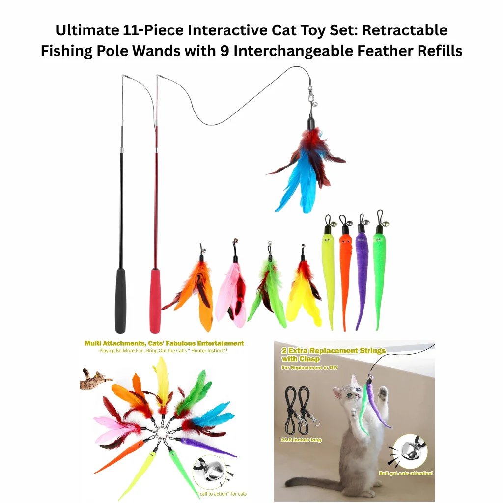 A product display of an 11-piece toy kit including two retractable fishing pole wands, nine colorful feather and worm refills, and extra replacement strings with clasps.