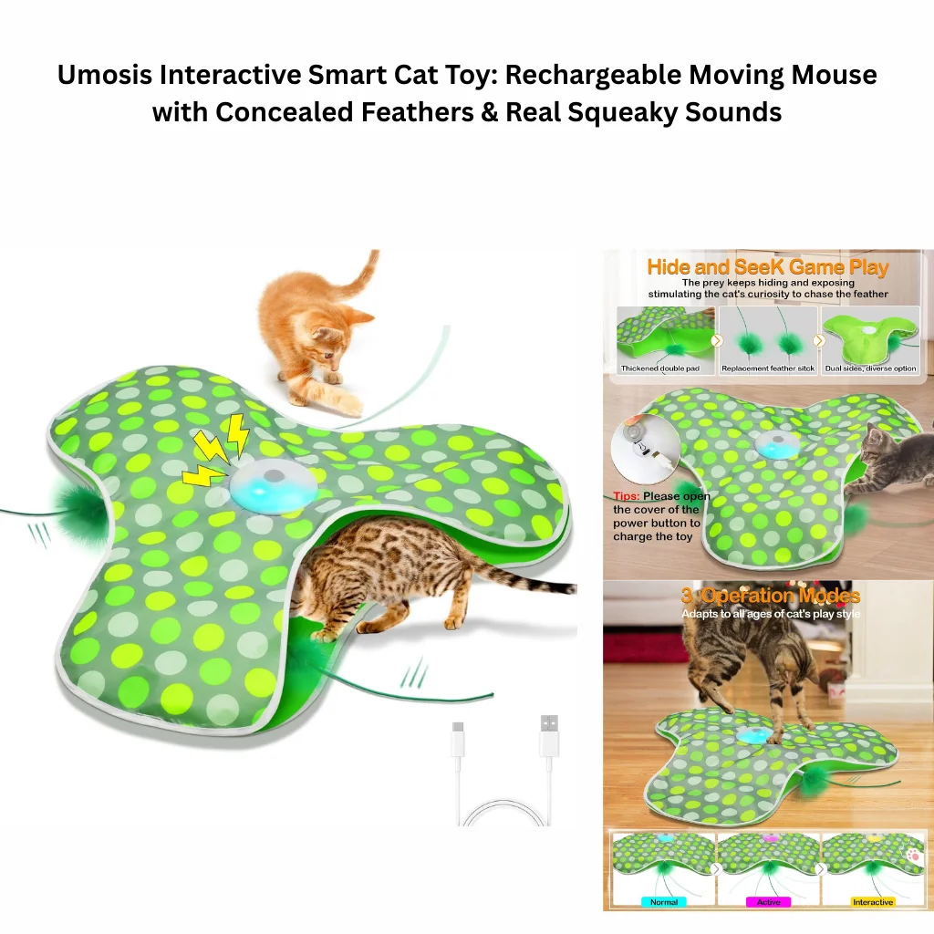 A product infographic for a 3-mode rechargeable cat toy featuring a moving base with concealed green feathers that pop out, real mouse squeaky sounds, and a touch-activated motor.