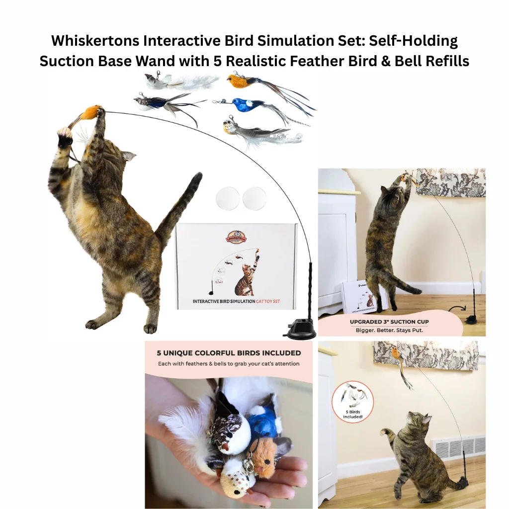 A product display of a self-holding cat toy system featuring an upgraded 3-inch suction cup base, a flexible wire wand, and five unique colorful bird refills with natural feathers and bells.