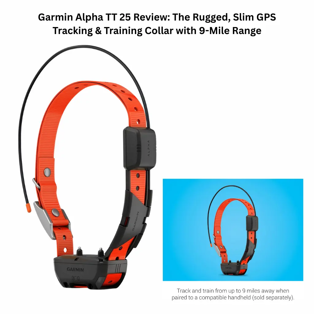 Vibrant pink 10mm nylon rope dog leash with gold rustproof hardware, demonstrating 6-in-1 versatility including crossbody, waist-worn, and dual-dog walking modes for dogs 15 to 90 lbs.