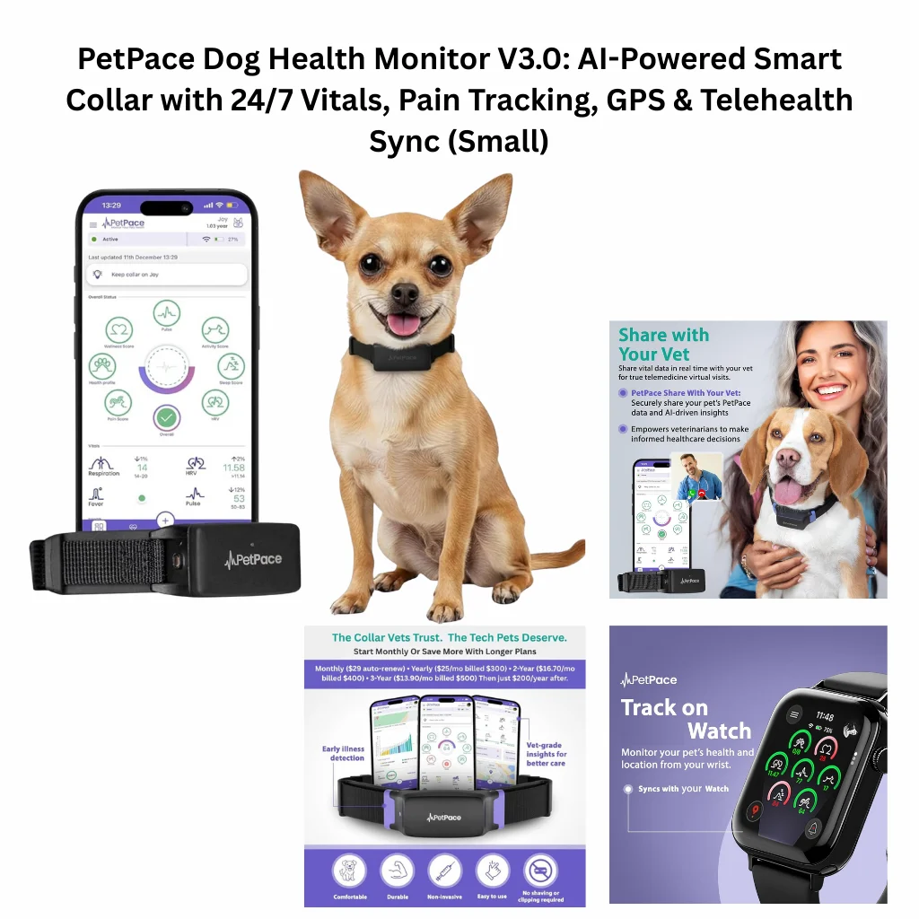 A comprehensive infographic for a small AI-powered smart collar featuring 24/7 vital sign tracking (HRV, pulse, respiration), pain monitoring, GPS location, and a smartwatch sync interface.