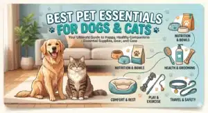 A colorful illustrated promotional infographic featuring a smiling Golden Retriever and a fluffy tabby cat sitting side by side on a white rug in a warm living room with a beige sofa and potted plant in the background. Five product category icons with labels are arranged around the right side of the image in a circular flow chart style, each illustrated with relevant items: Nutrition & Bowls showing a pet food bag, water bowl, and food bowl; Health & Grooming showing a grooming brush, dental chew bone, and a grooming product bottle; Comfort & Rest showing a teal oval pet bed; Play & Exercise showing a rope tug toy and a feather wand; and Travel & Safety showing a teal collar with ID tag and a leash. Paw print decorative elements are scattered throughout the light blue background.