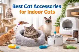 A bright, styled promotional lifestyle image featuring three cats in a cozy modern living room surrounded by various cat accessories. A fluffy gray tabby reclines in a round plush gray donut cat bed at the center, a blue-eyed Ragdoll sits nearby, and an orange kitten plays with a feather wand toy on the left. A fourth gray tabby cat is perched on a multi-level natural rope and sisal cat tree in the background. Scattered around the floor are colorful catnip toy fish and crinkle toys. A stainless steel pet water fountain with a blue ball filter sits in the foreground, alongside a white automatic pet food dispenser with a transparent kibble reservoir, and a large white self-cleaning automatic litter box with a round entry opening on the right. Potted green plants and a light wood shelving unit are visible in the background.