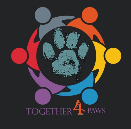 The Together4Paws logo featuring five colorful human figures in red, gray, orange, yellow, blue, and purple arranged in a circle with arms connected, surrounding a dark circular emblem with a distressed teal paw print at the center. The organization name "Together 4 Paws" is displayed below in purple and teal lettering on a dark background, symbolizing community unity in support of animal welfare and feeding stray animals.